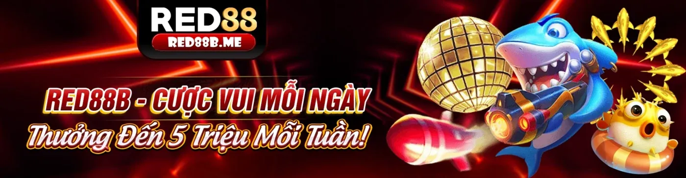 Giao diện ứng dụng 888sport trên điện thoại, cá cược thể thao