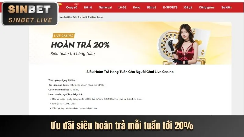 Hoàn trả hàng ngày và hàng tuần 888sport App